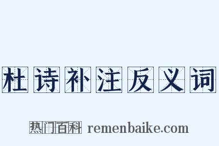 杜诗补注反义词是什么意思的图片